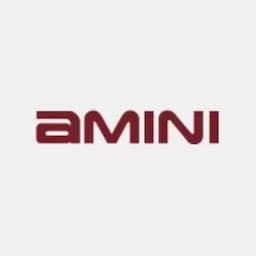 Amini